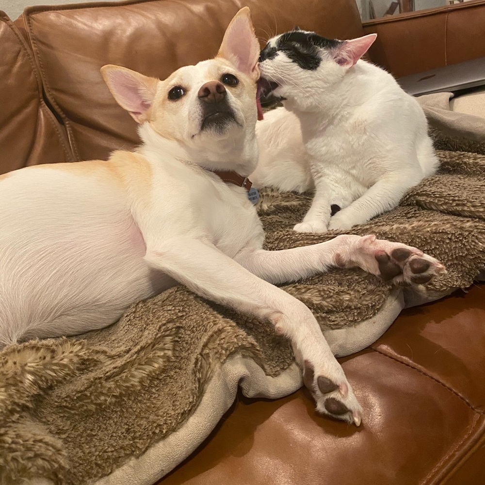 Meet your Posher, Felicity